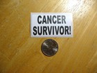 CANCER SURVIVOR STICKER DECAL 1 - 50 BULK PACK DISEASE SUPPORT AWARENESS