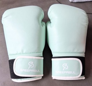 Very Nice 14oz SAEEPABUL S200 boxing gloves in a sea green color.