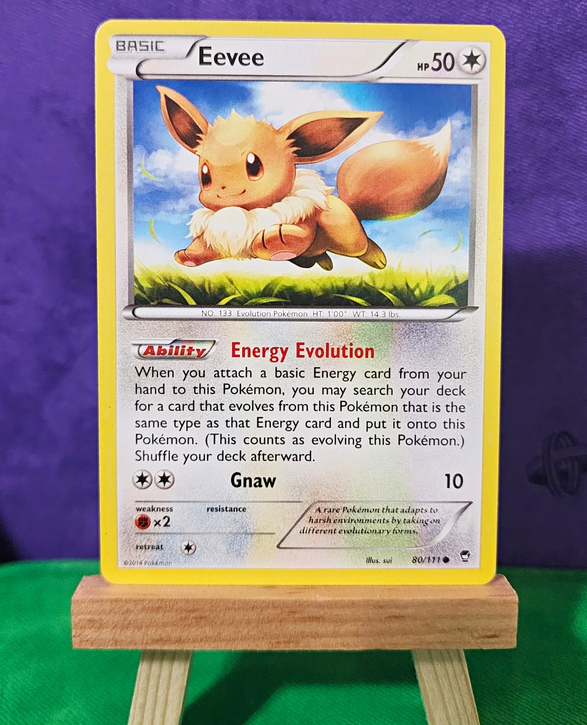 Pokémon TCG Eevee 80/111 XY Furious Fists Common