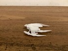 Star Trek: Picard changing Qulash Class Frigate — photo 4