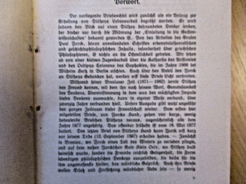 Wilhelm Dilthey Briefwechsel mit Graf York von Wartenburg - Niemeyer Vlg. 1923 - Bild 4 von 6