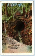 HAWAII ~ LADDER into a LAVA TUBE  c1920s Honolulu Paper Co. Postcard