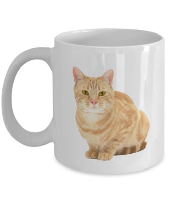 Orange Tabby Cat Mug Orange Tabby Cat Coffee Mug Funny Tea Hot Cocoa 