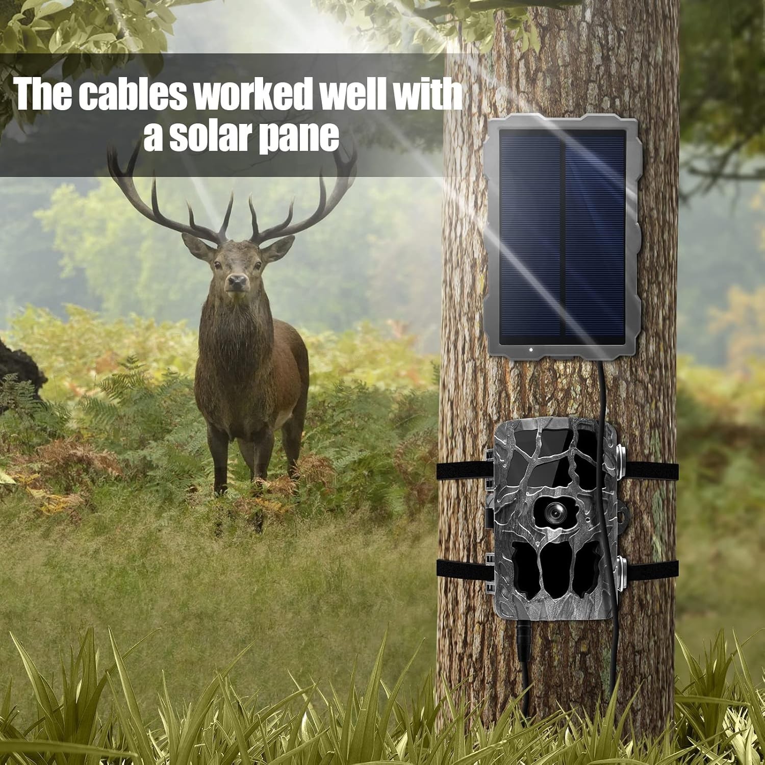 Trail Camera Power Cord 5.5x2.1mm DC External Cable for Spypoint, Moultrie