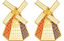 77th Regional Support Distinctive Unit Insignia - Pair
