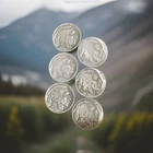 1928 1929-P D & S 1936 and 1937 Buffalo 🦬 Nickel’s Lot of Six