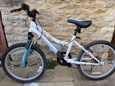 Swimn Girls Bike 20 Inch Wheels