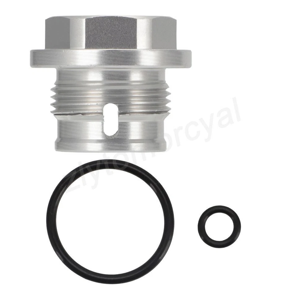 Tensor de cadena de leva plateado para BMW S1000R S1000XR S1000RR HP4 2009-20 tapón de tornillo Foto 4 de 4