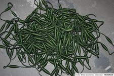 Korek Żyłka pływacka do siatki stawkowej Sieć rybacka 30 metrów 