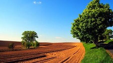 Landscape field sky road trees grass dirt clear sunlight Custom Gaming Mat Desk