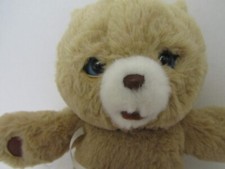 Little Live Pets Cozy Dozy Cubbles Bear Teddy Interactive Pacifier Plush SEE VID