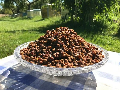 BEE BREAD, PERGA Pan de abeja orgánico fresco, polen fermentado naturalmente, Perga, 1 kg., cosecha 2024