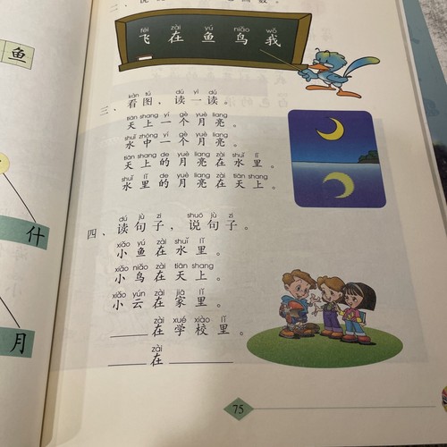 Biao Zhun Zhong Wen Chinese Language Learning - 10 Books - Foto 6 di 9
