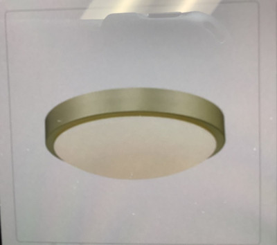 Golden Lighting Gabi Flush Mount Brushed Champagne Bronze with Opal Glass