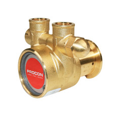 PROCON 112A140F11AA - 3/8" NPT Brass Rotary Vane Pump Series 2