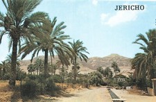 Postcard Fountain of Eliseus in the City of Jericho West Bank Palestine
