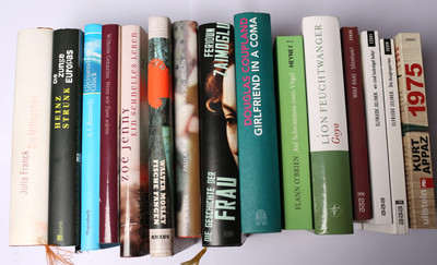 30x Romane, Konvolut, Wolf Haas, T.C. Boyle, Julian Barnes, Marlen Haushofer, El