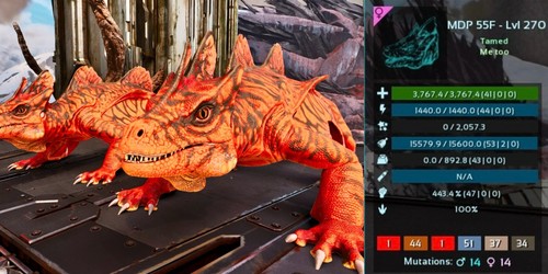 ark survival ascended pve Top Stats Maeguana X1, Deadpool, 100% Imprinting - Picture 2 of 2