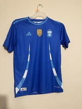 Messi Argentina 2024 World Cup Star Jersey 