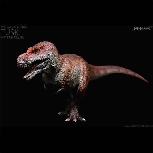 REBOR 1/35 Tyrannosaurus Rex Model KISS&TUSK Collector Dinosaur Animal Decor - Picture 11 of 14