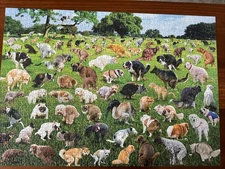 "1000 Piece Puzzle 101 Pooping Puppies Dogs Pooping Puzzle" Funwares  Complete