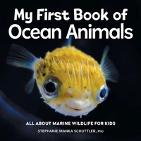 Ginjer L. Clarke | My First Book Of Ocean Animals | Taschenbuch | Englisch