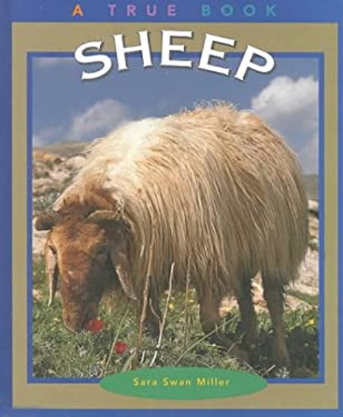 Sheep Hardcover Sara Swan MillerFree US Delivery | ISBN:0516215809