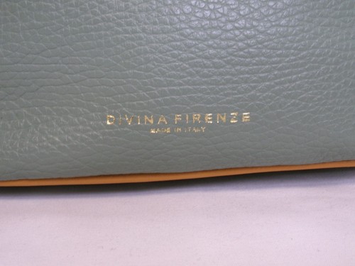 DIVINA FIRENZE Shoulder Bag Light Green Mint Pebbled Leather Gold Hardware - Picture 2 of 22