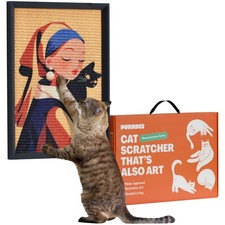 Decorative Wall Art Cat Scratcher for Vertical Scratching, 14"x20" Framed Sis...