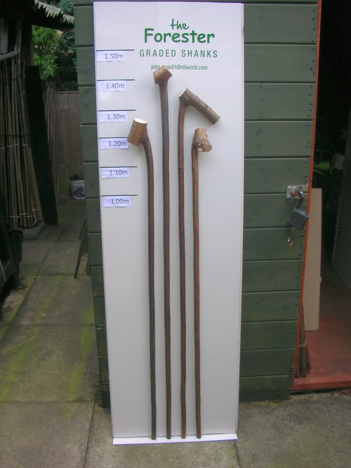 The FORESTER, SEASONED & STRAIGHTENED WALKING STICK SHANKS eBay