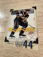 2009-10 Buffalo Sabres 5 x 7" Team-Issued Photo - Andrej Sekera - EX-MT