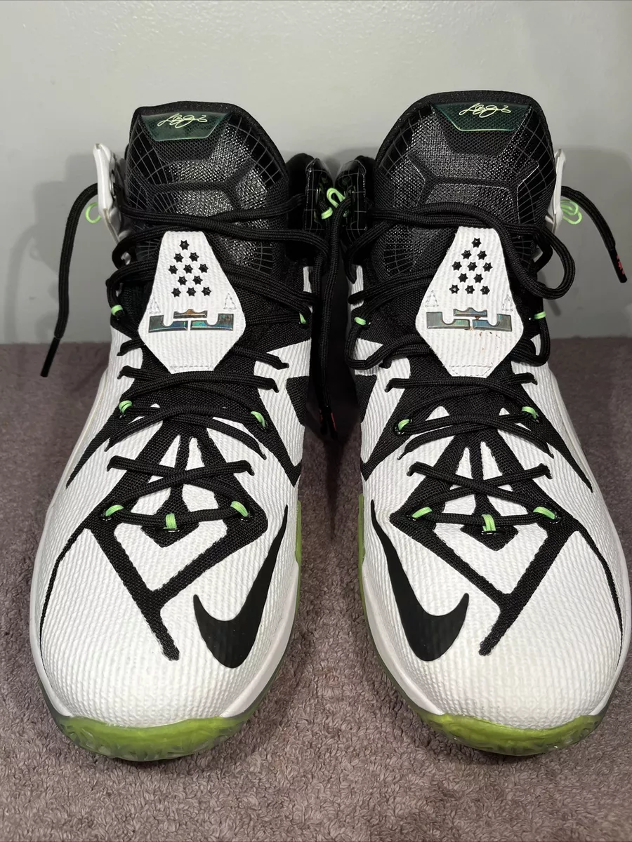 Lebron shoes cheap price