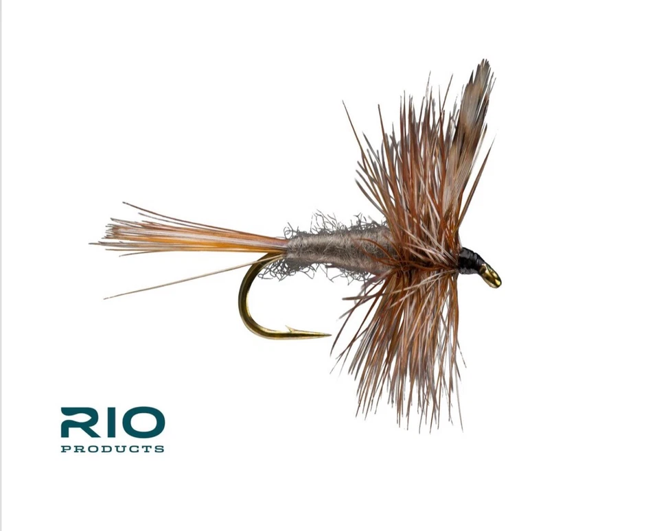 RIO Adams Dry Fly Fishing - 12 count - Size 18 - Image 3 of 3