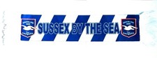 Official Retro Brighton & Hove Albion Sussex By the Sea Mini Car Scarf BRAND NEW