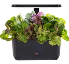 AeroGarden Harvest 2.0, Indoor Garden Hydroponic System with LED Grow Light NEW!