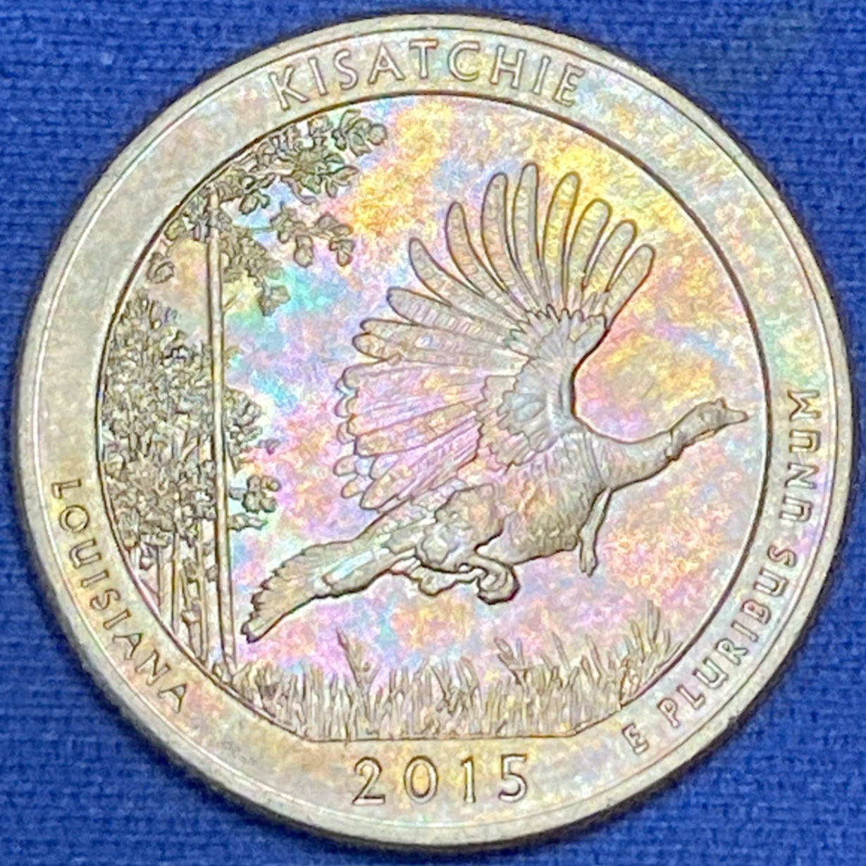 Picture 11 of 13