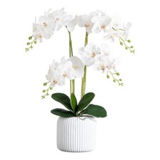 Nearly Natural 26" Phalaenopsis Orchid Arrangement in Ceramic Vase