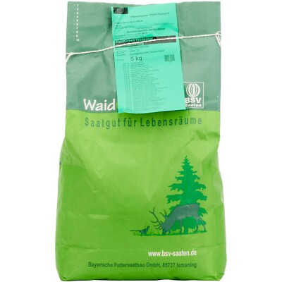 BSV Saaten Saatenmischung WaidGreen  Wildacker Stammtisch Saatgut unisex NEU