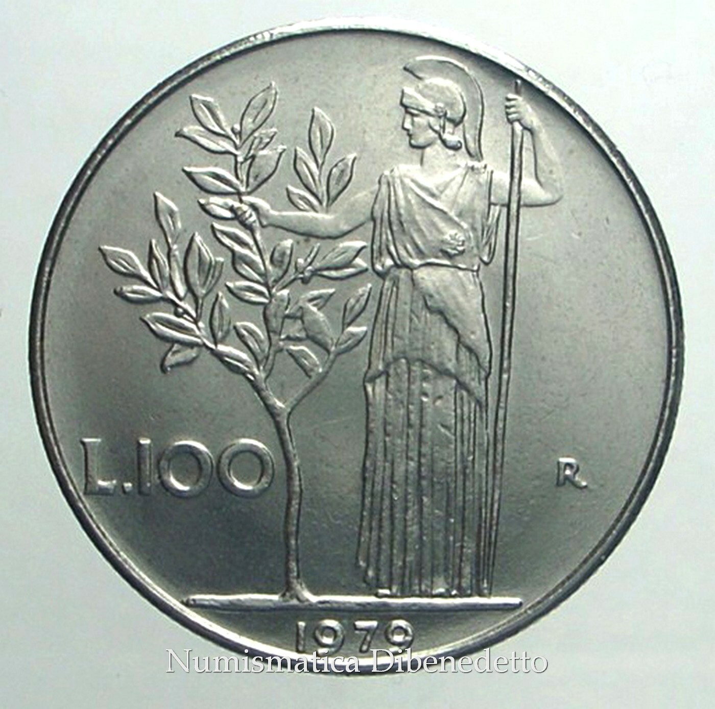 Zdjęcie 57 z 86