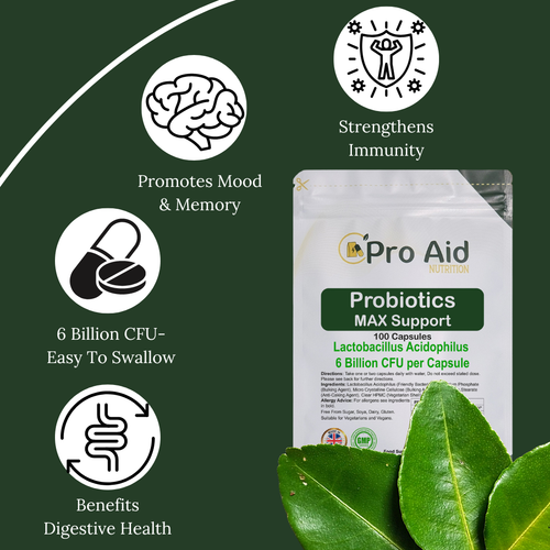 PROBIOTICS For GUT Health Support MAX60-240Capsules 6 BILLION CFU Lactobacillus - Picture 2 of 4