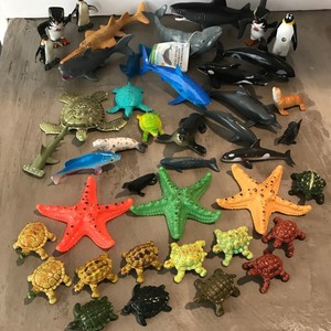 cookie cutter shark toy