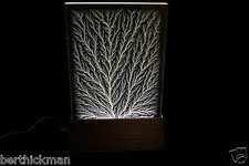 4" x 6" x 1/2" Captured Lightning Edge Lichtenberg Figure & Matching Light Base