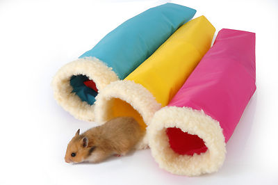gerbil beds