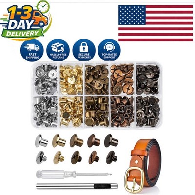 Versatile 100-Piece Chicago Screw Kit with Multi-Color Rivets for DIY Projects