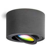 Aufbaulampe Smol Schwenkbar Mit Led 4W Smart Wlan Deckenspot Strahler Lampe