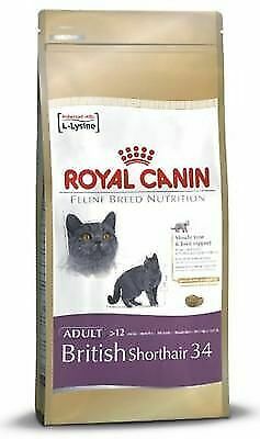 british shorthair dry food