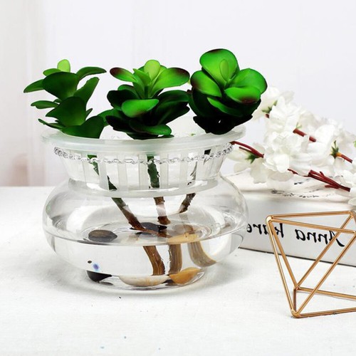 Lotus Planter Bowl Fish Tank Desktop Clear Glass Bowls Decorative - Picture 11 of 12