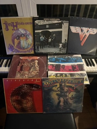 Jimi Hendrix Molly Hatchet Blackfoot Aerosmith Police Van Halen CCR Vinyl Lot