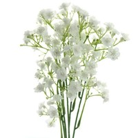 Gasper Schleierkraut - Gypsophila Weiß 48 Cm - Kunstblumen