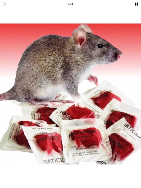 antidote for rat poison antidote for rat poison